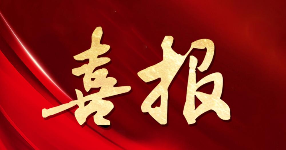 喜報(bào) | 杭州園林股份獲評(píng)“2024年度杰出貢獻(xiàn)獎(jiǎng)”